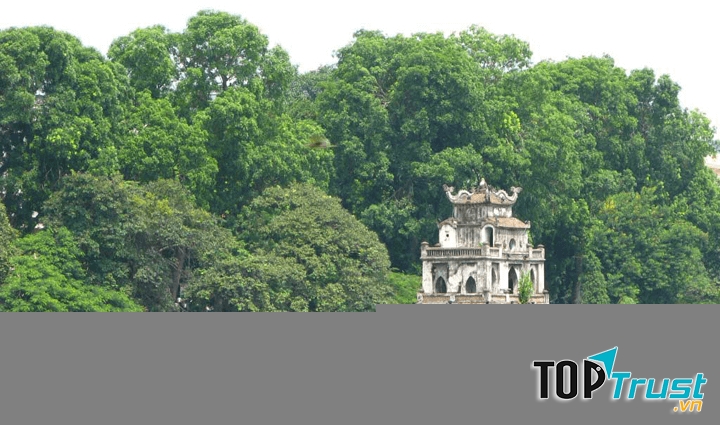 Ảnh minh họa (Nguồn internet)