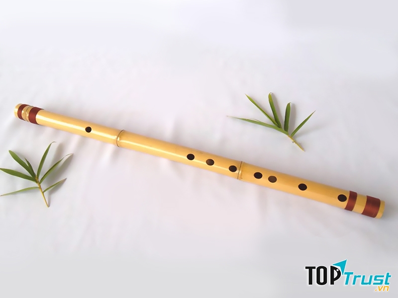 Ảnh minh họa (Nguồn internet)