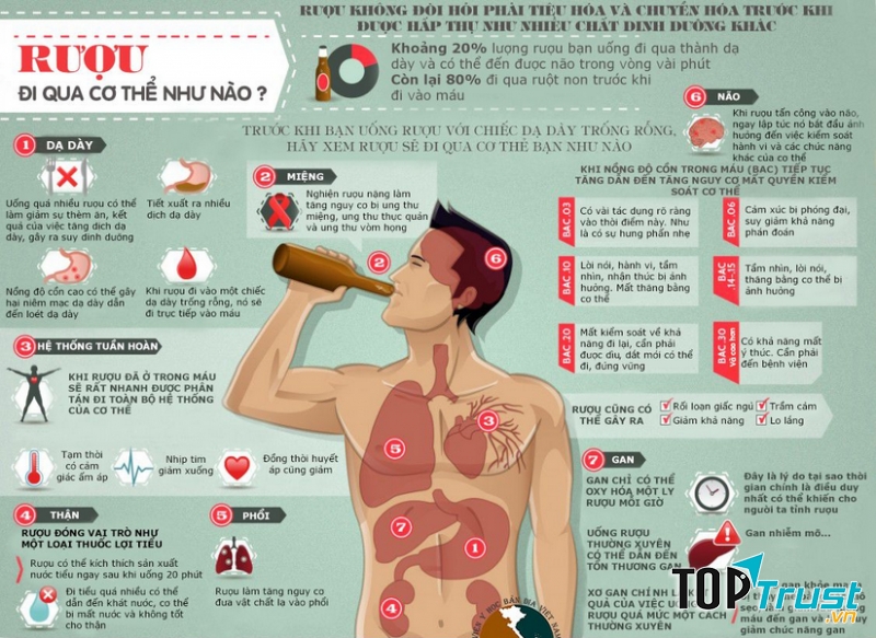 Ảnh minh họa (Nguồn internet)