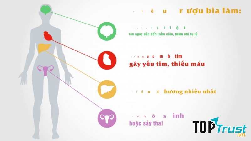 Ảnh minh họa (Nguồn internet)