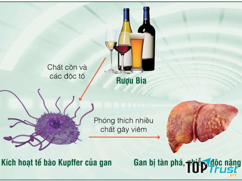 Ảnh minh họa (Nguồn internet)