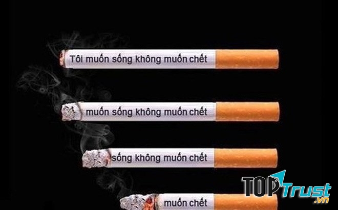 Ảnh minh họa (Nguồn internet)
