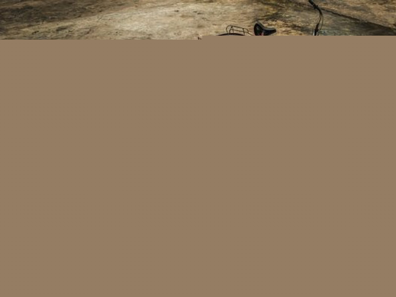 Ảnh minh họa (Nguồn internet)