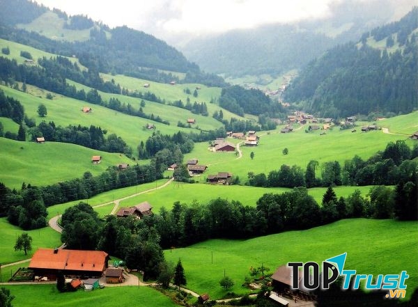 Ảnh minh họa (Nguồn internet)