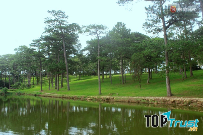 Ảnh minh họa (Nguồn internet)