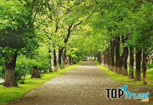 Ảnh minh họa (Nguồn internet)