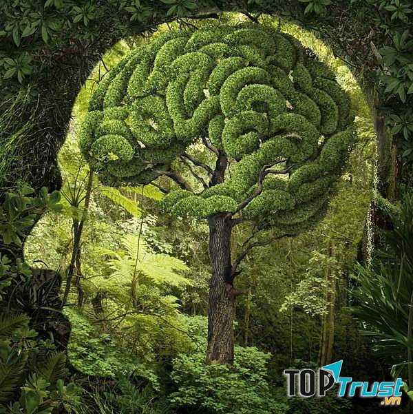 Ảnh minh họa (Nguồn internet)