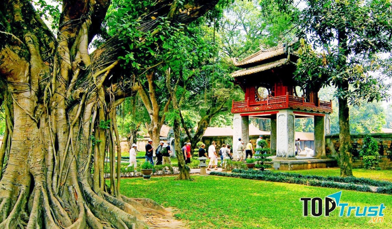 Ảnh minh họa (Nguồn internet)