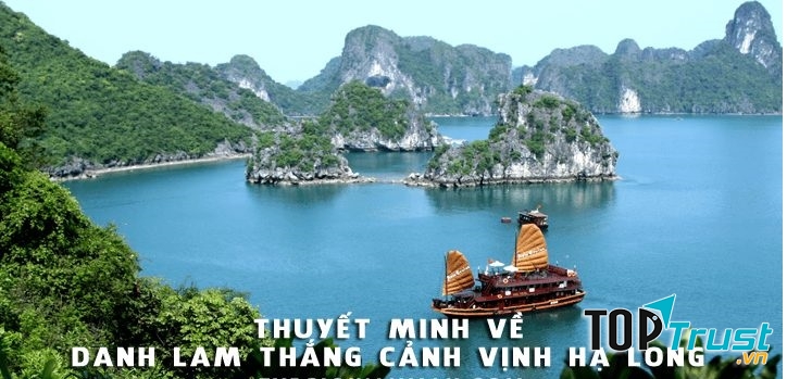 Ảnh minh họa (Nguồn internet)