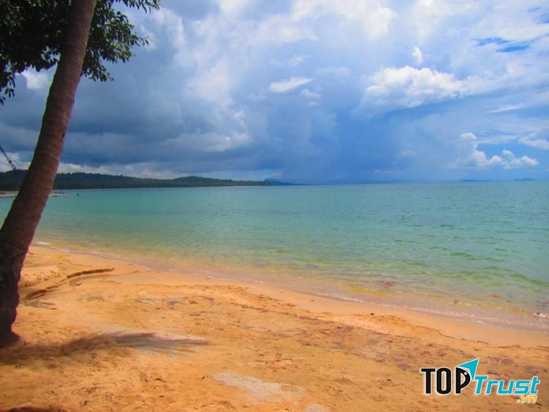 Bãi Vũng Bầu nên thơ với những rặng cây xanh mát​, và bãi cát nâu