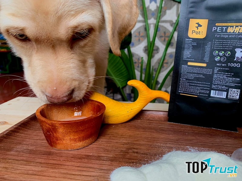 Máng uống hợp vệ sinh