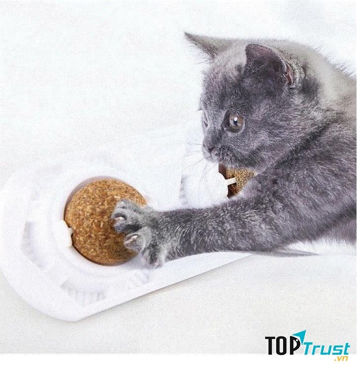 Đồ chơi cho thú