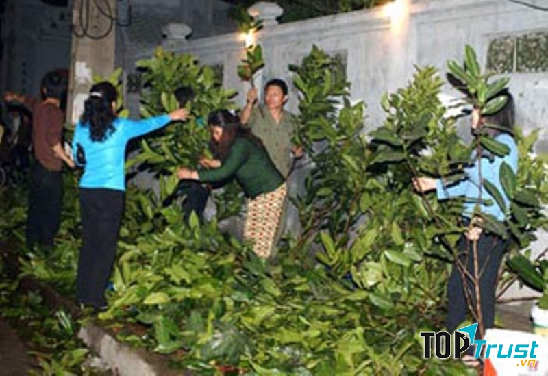 Bán cành lộc thu về kha khá lợi nhuận