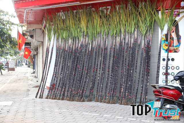 Kinh doanh mía lộc đêm giao thừa