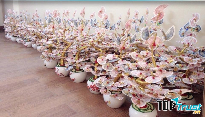 Cây tiền thật tết 2020
