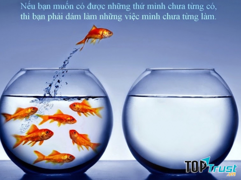 Tương lai của bạn phụ thuộc rất nhiều điều, nhưng chủ yếu là vào chính bạn.-Frank Tyger-