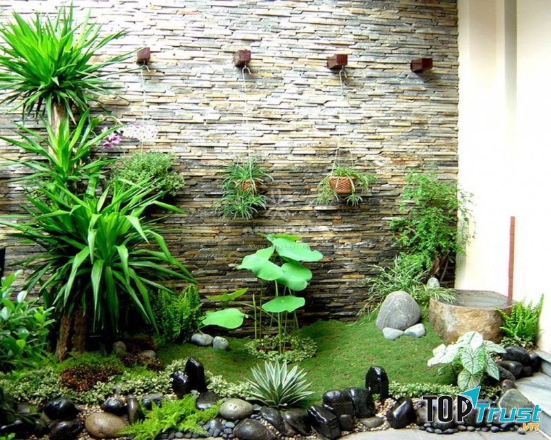 Đất trồng rau sạch tự nhiên