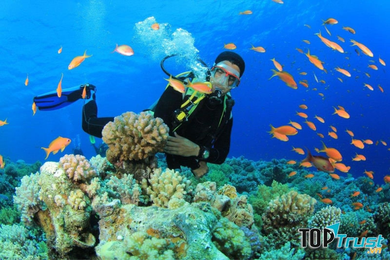 Bán đảo Sơn Trà