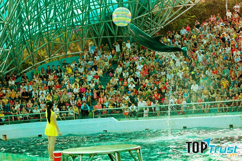 Màn trình diễn cá heo tại Tuần Châu