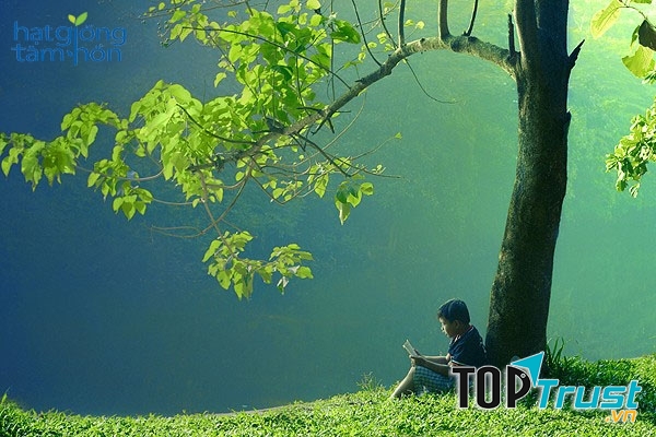 Bạn hãy luôn cảm ơn những ai tạo ra nghịch cảnh cho bạn.