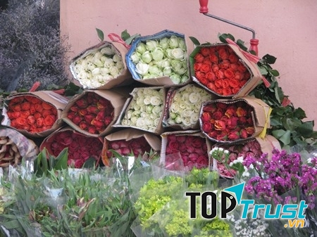 Ảnh minh họa (Nguồn Internet)