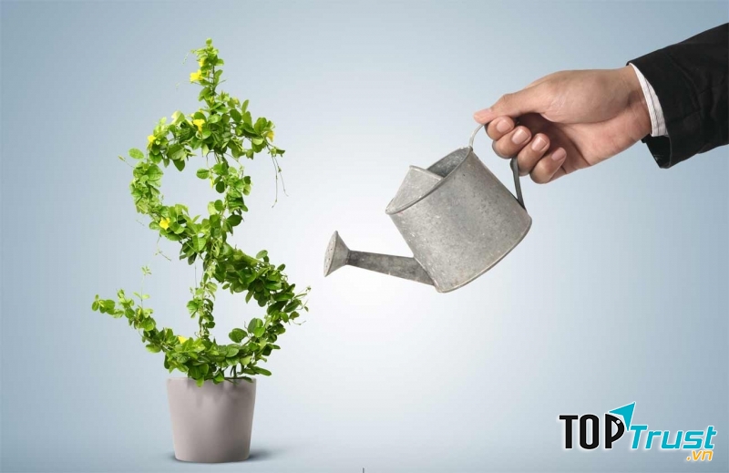 Bạn không hình dung được tương lai của công ty sẽ ra sao trong 1 năm tới