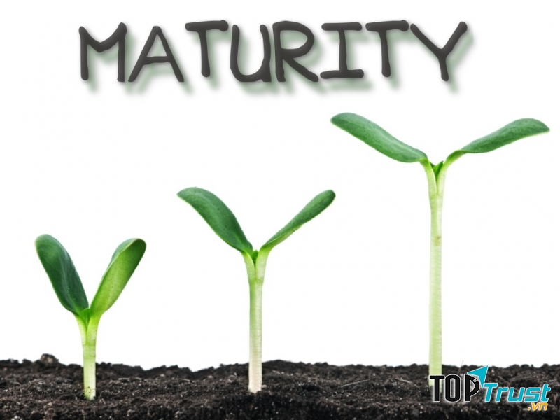 Bạn không rút ra được bài học gì từ công việc của mình