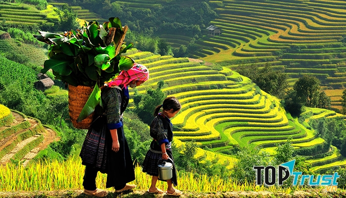 Bản Lao Chải