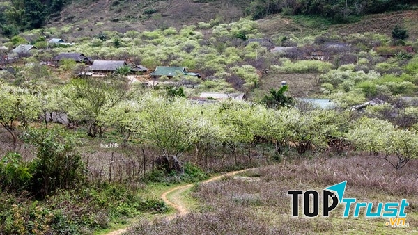 Bản Lóng Luông