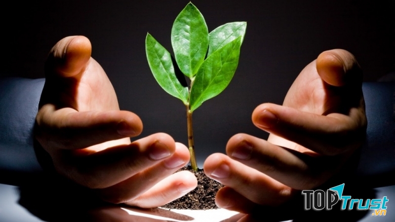 Bạn muốn đầu tư