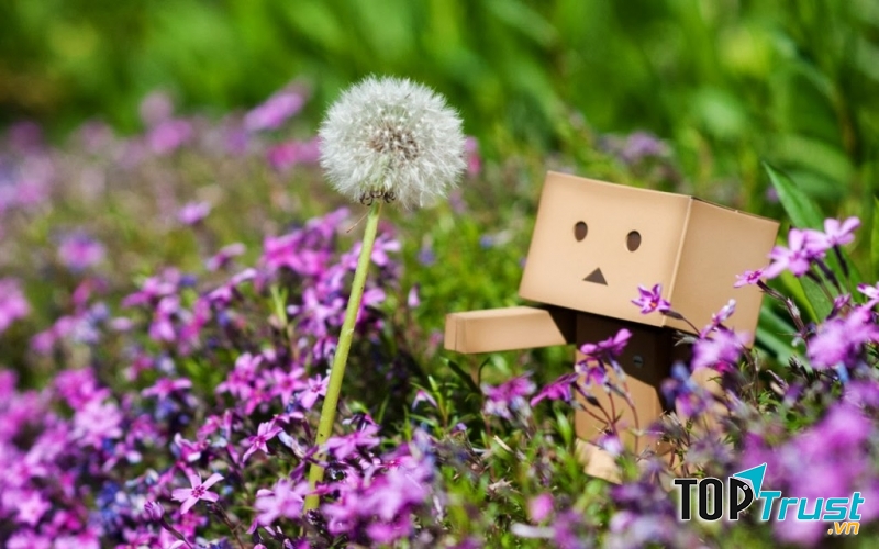 Ảnh minh họa ( nguồn: Internet)