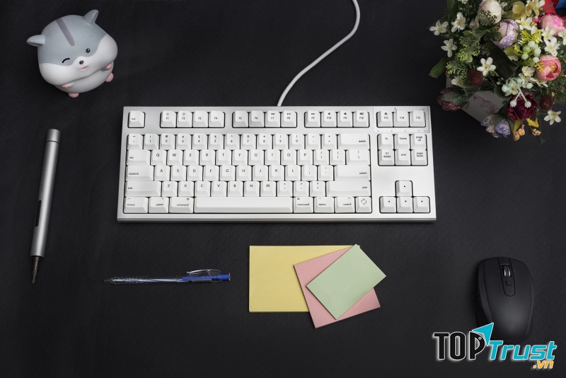 Bàn phím cơ Realforce R2 Silent APC for Mac