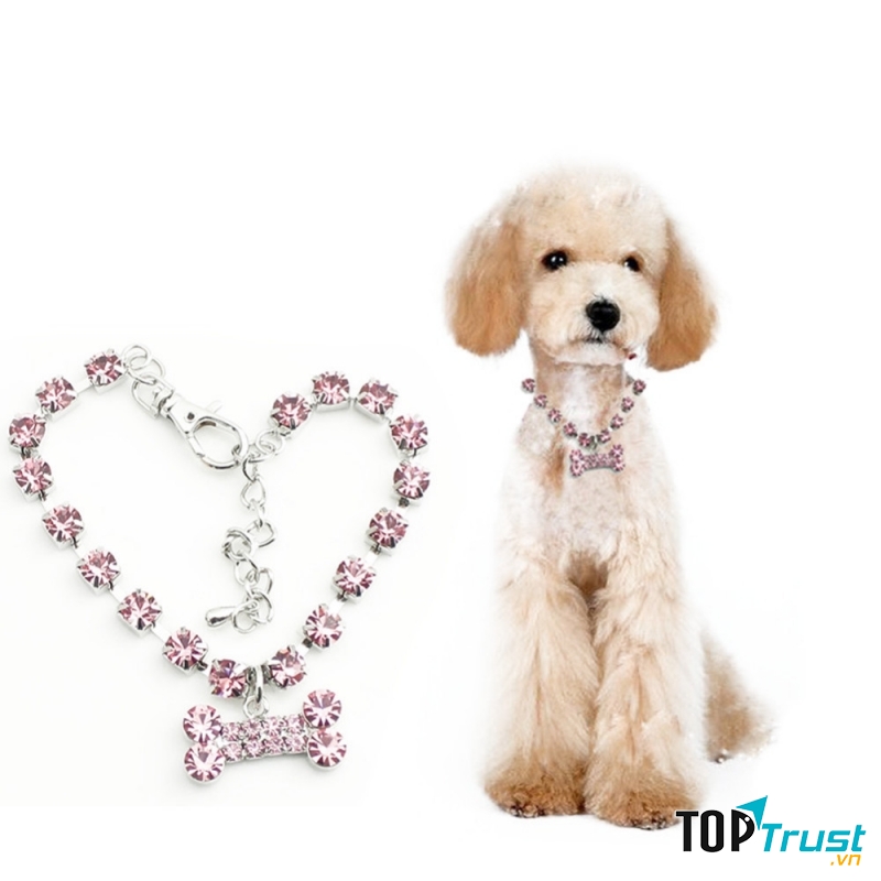 Bán phụ kiện cho vật nuôi