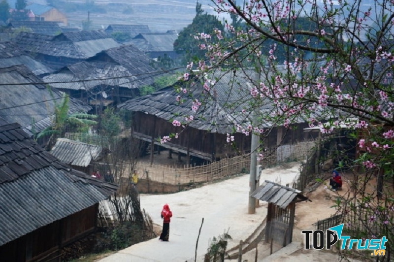 Bản Pơ-mu (Sơn La)