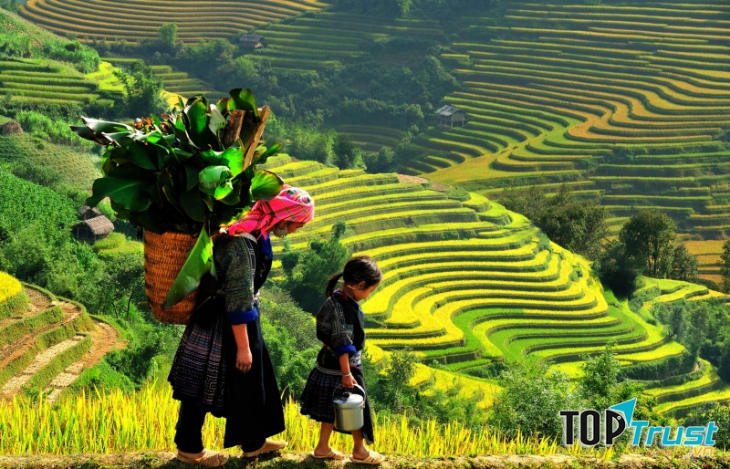 Bản Sín Chải