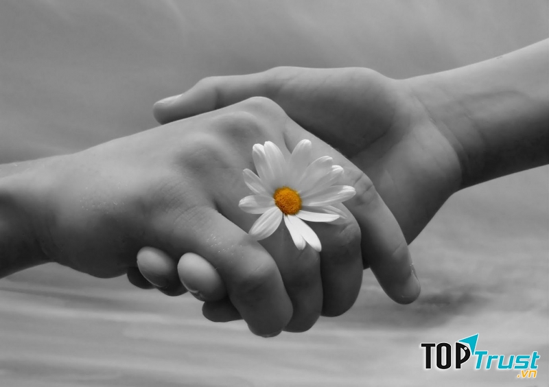 Ảnh minh họa (Nguồn internet)