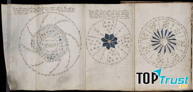 Một trang của Bản thảo Michael Wilfrid Voynich