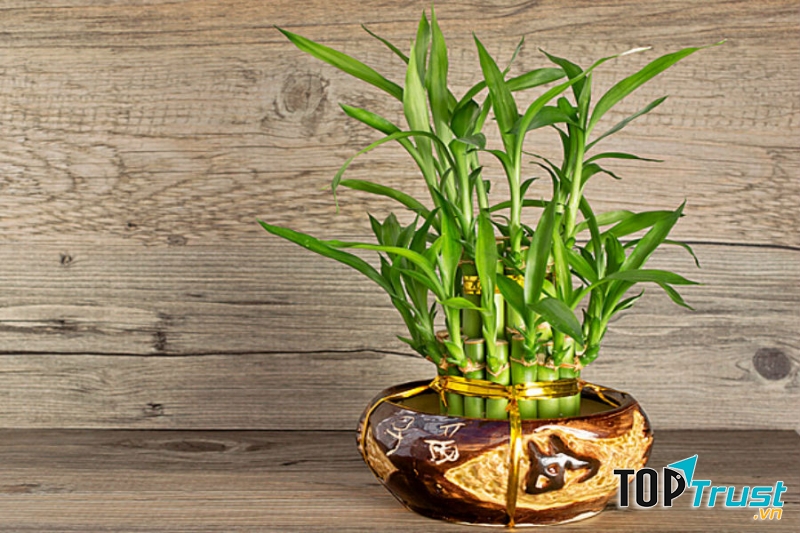 Nếu bạn khéo tay thì có thể làm tháp phát lộc bán kiếm tiền