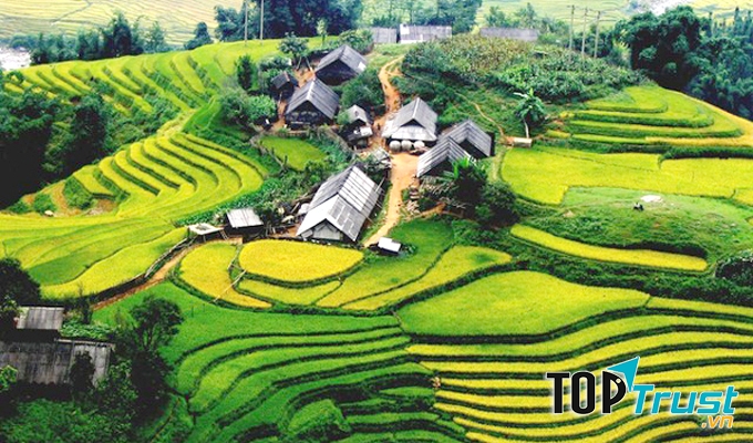 Bản Ý Lình Hồ