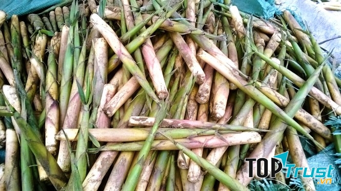 Măng sặt cả vỏ