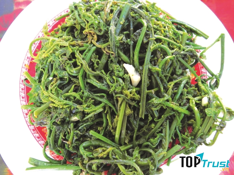 Rau dớn Yên Bái