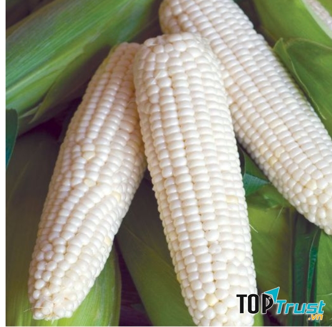 Ngô nếp non, nguyên liệu làm món bánh ngô bột mì cho bé