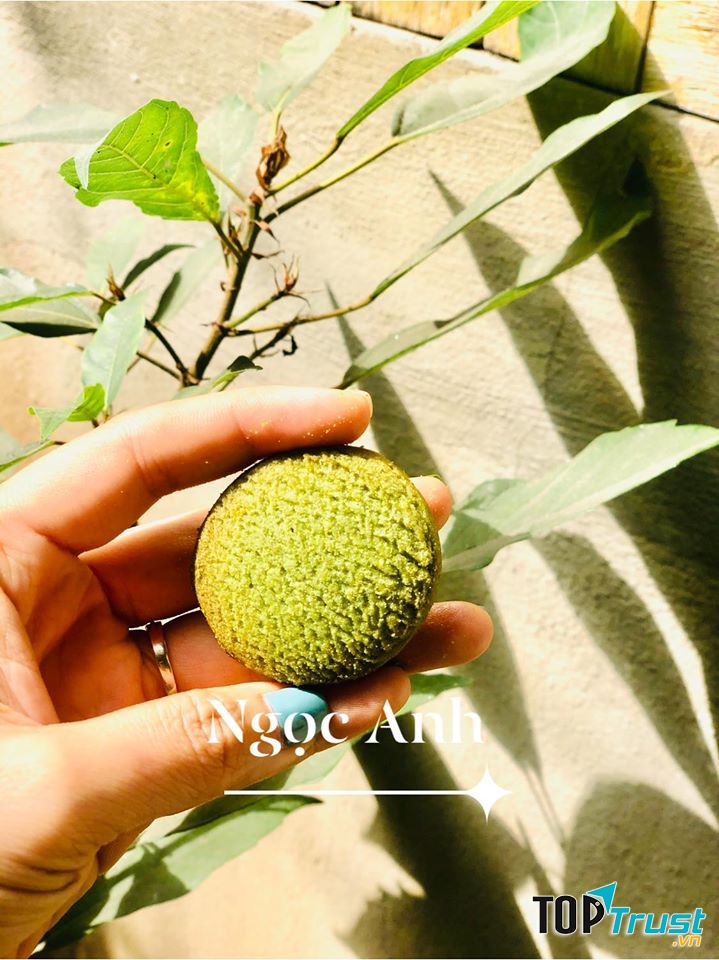 Bánh Ngọc Anh - Bông Lan Trứng Muối