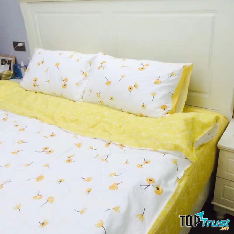 Bani House - Chăn ga gối