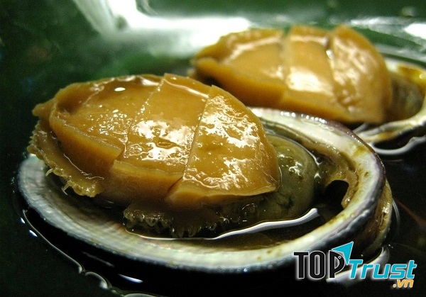 Bào ngư Bạch Long Vỹ (Hải Phòng)