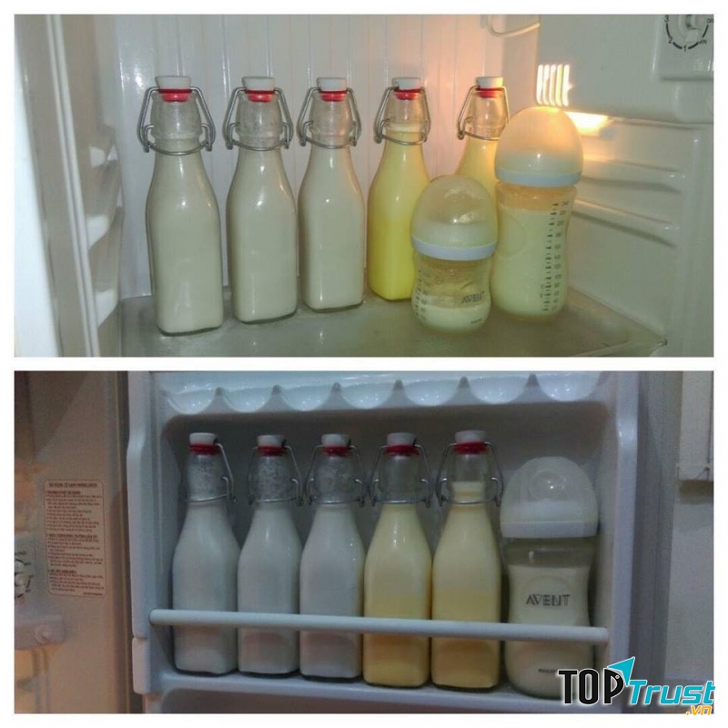 Bảo quản sữa trong tủ đông