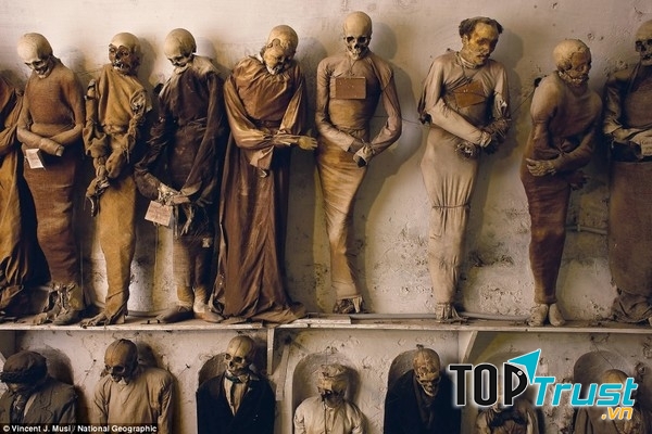 Bảo tàng xác ướp