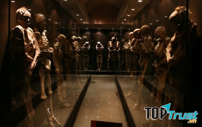 Bảo tàng xác ướp