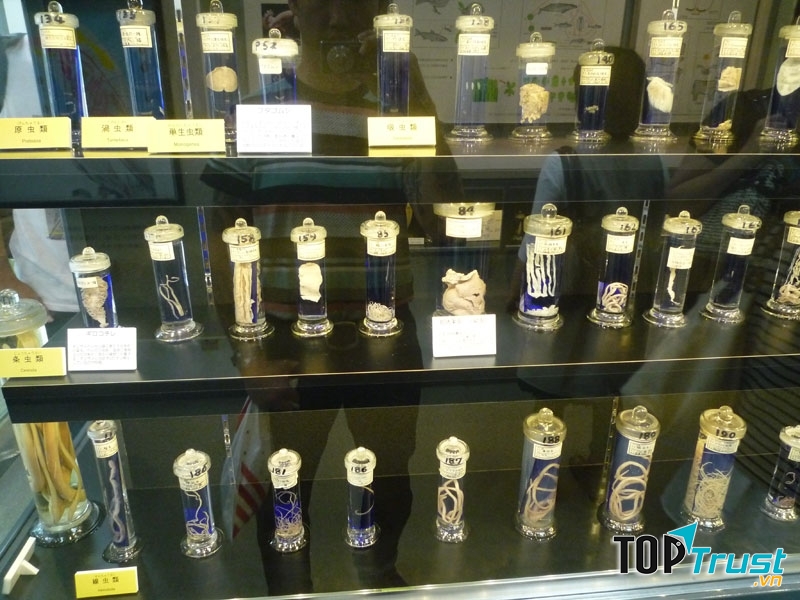 Bảo tàng Kí Sinh Trùng