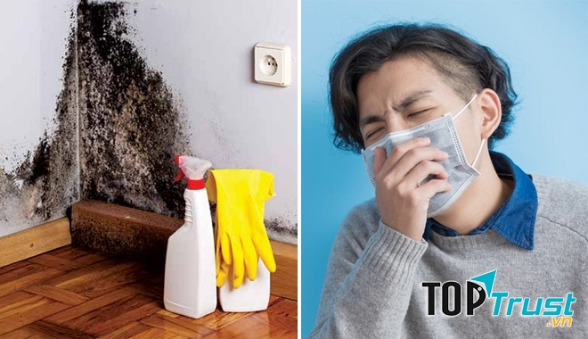 Bảo vệ da khỏi nấm mốc